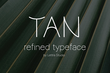 TAN — Refined Typeface