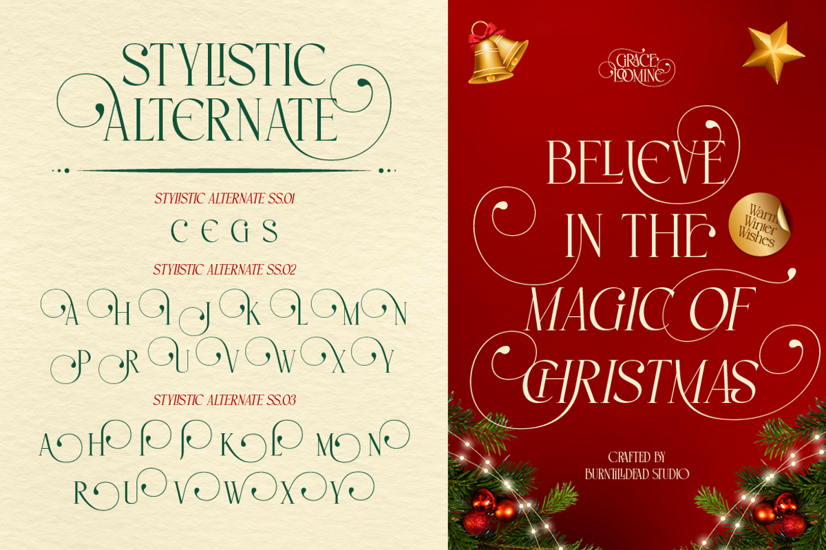 Grace Loomine, a Serif Font by Burntilldead (Photo 7 of 12)