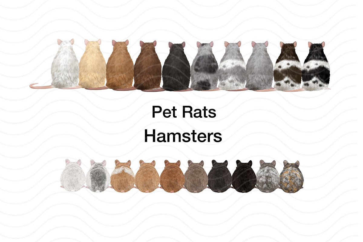 Back View Pet Mom Clipart Bundle, an Animal Illustration by ColorfulPT (Photo 7 of 8)