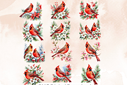 Red Cardinal Clipart,, an Animal Illustration by Anca Digital Vibe (Thumbnail 3 of 6)