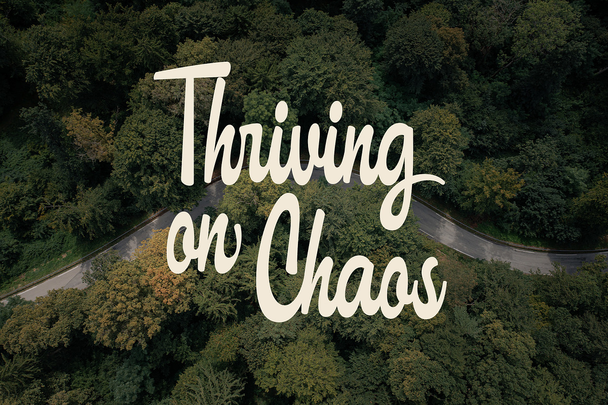 ED Caderette, a Script Font by Emyself Design (Photo 2 of 8)