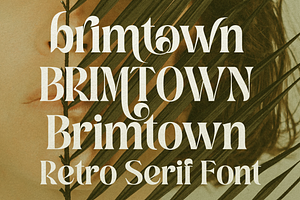 Brimtown Black - Retro Serif Font