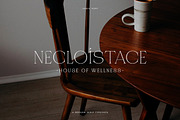 Jaque | Royal Serif, a Serif Font by Pentagonistudio (Thumbnail 8 of 12)