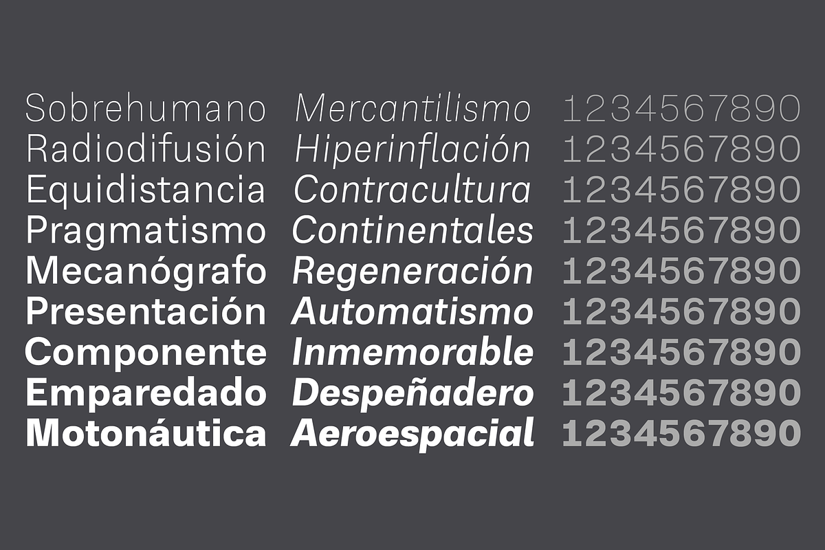 RNS Physis Family, a Sans Serif Font by RNS Fonts (Photo 4 of 15)