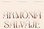 Angeris Halfpixel, a Serif Font by Craft Supply Co. (Thumbnail 7 of 8)