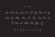 Paulette, script typeface, a Script Font by Rosario Nocera (Thumbnail 5 of 8)