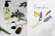 Lavender sunshine, an Object Illustration by MsFlaffy (Thumbnail 5 of 12)