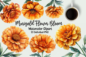 Marigold Flower Bloom Clipart, an Illustration by OK Design