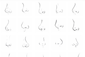 Procreate Nose Brushes Stamps