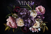 Velvet Peony Moody Floral Graphics, an Object Illustration by Eclectic Anthology (Thumbnail 6 of 16)