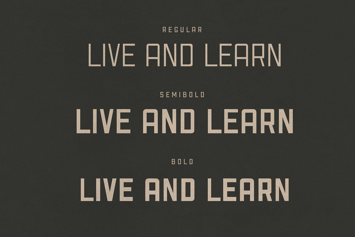 Madson - Masculine modern typeface, a Sans Serif Font by CCS Type (Photo 14 of 16)