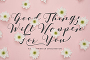 Barbara - A Classy Script Font, a Script Font by Aksapix Studio (Thumbnail 2 of 11)