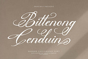 Bittenong Cenduin Modern Calligraphy, a Script Font by Denustudios (Thumbnail 1 of 13)