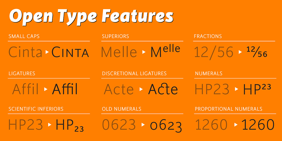 Cinta, a Sans Serif Font by Tipo Pépel (Photo 4 of 7)
