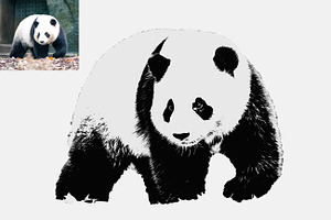 Animal Tracing Photoshop Action