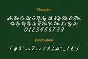 Ridelans - Modern Script, a Script Font by Lettermine (Thumbnail 9 of 10)