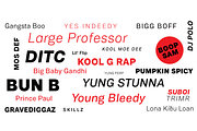 Vaud Pro, a Sans Serif Font by Wordshape (Thumbnail 13 of 13)