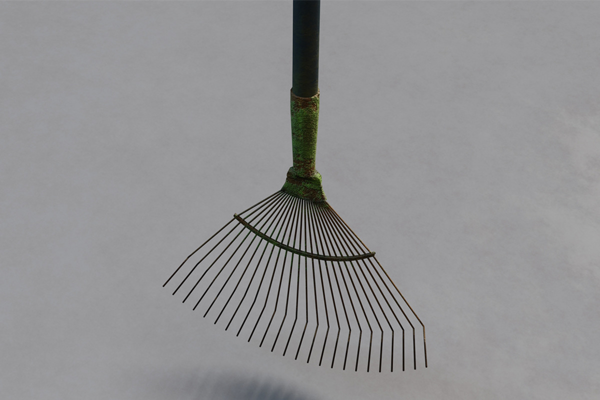 Leaf rake rust, an Object 3D Model by mockupzz (Photo 3 of 8)