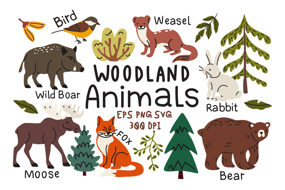 Woodland Animals Clipart Vector Set, an Animal Illustration by Luamor (Photo 1 of 5)