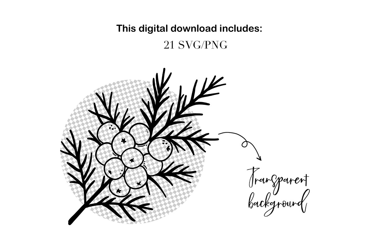 Christmas Floral Clipart & Patterns, a Seasonal Illustration by ArtGiftsStudio (Photo 5 of 5)