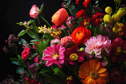 Colorful bouquet of vibrant flowers, a Photo by Iftikhar Alam