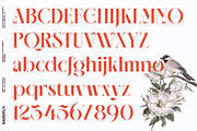 NEIMA, a Serif Font by Bagerich Type Foundry (Thumbnail 3 of 15)