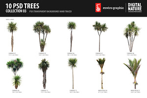10 PSD Trees Collection 3