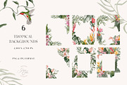 TROPICAL SUMMER- Exotic flora set, a Decorative Illustration by Grace Noboa Illustrations (Thumbnail 3 of 10)