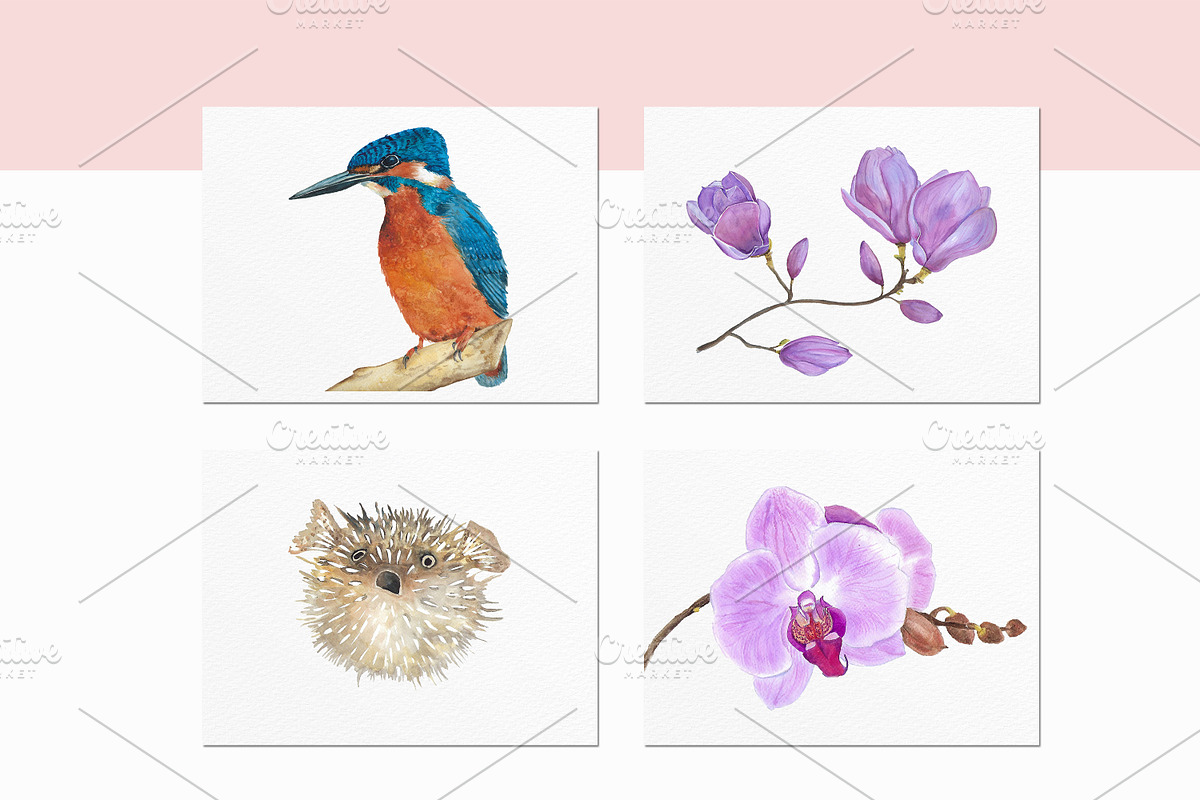 Watercolour Wall Art, an Illustration by Art pages (Photo 7 of 10)