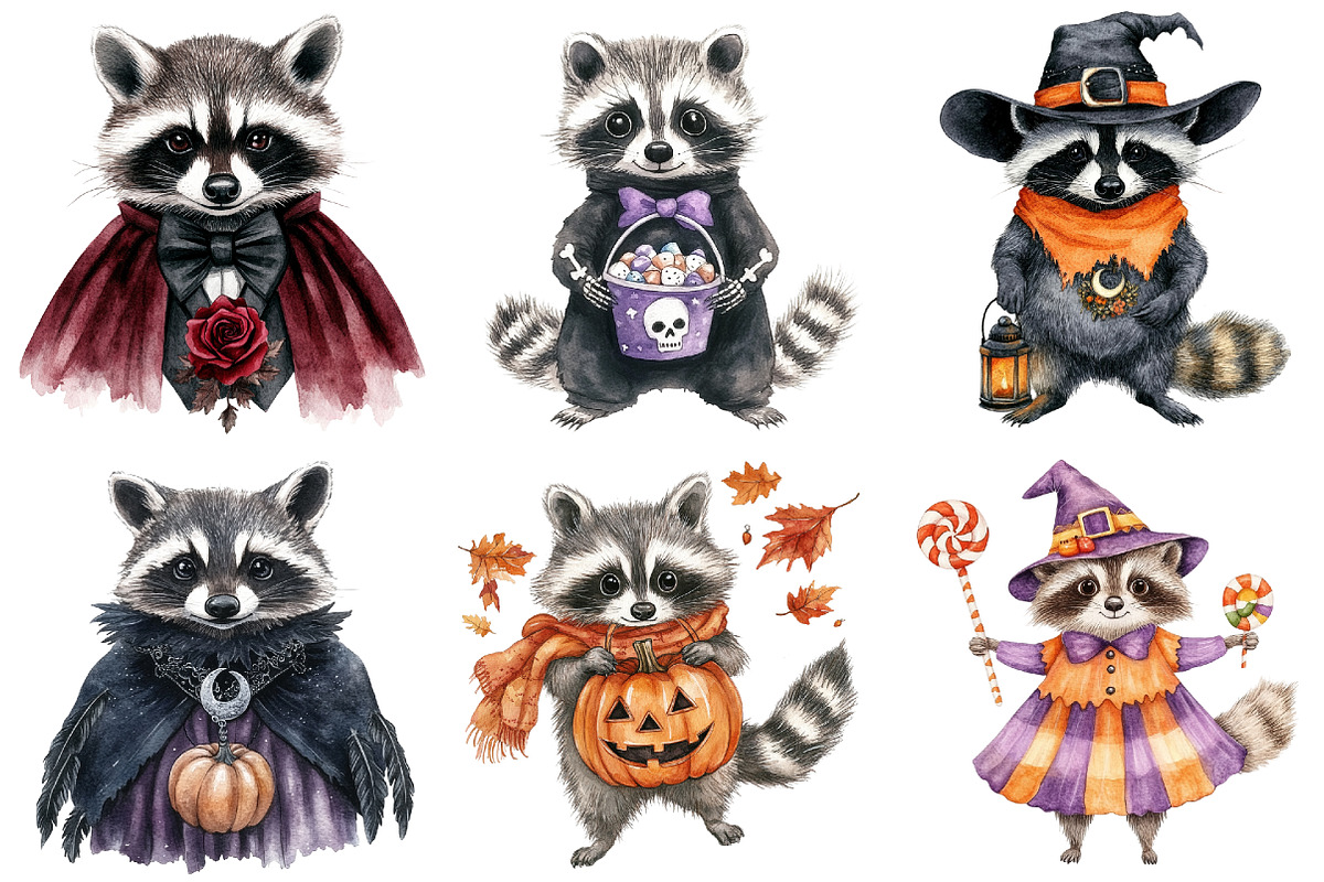 Halloween Raccoon Clipart, a Seasonal Illustration by CitraGraphics (Photo 2 of 5)