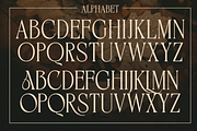 BIKAVE - A Modern Display, a Serif Font by Marvadesign (Thumbnail 2 of 6)