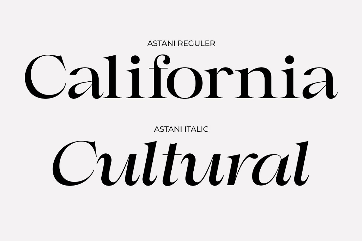 Astani Display, a Serif Font by InkwellTypeCo (Photo 13 of 17)