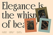 CS Henar – Elegant Font, a Serif Font by Craft Supply Co. (Thumbnail 2 of 8)