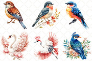 Watercolor Floral Birds Clipart, an Illustration by Black Bird Studio (Thumbnail 4 of 5)