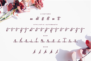 Medalion Calligraphy Font