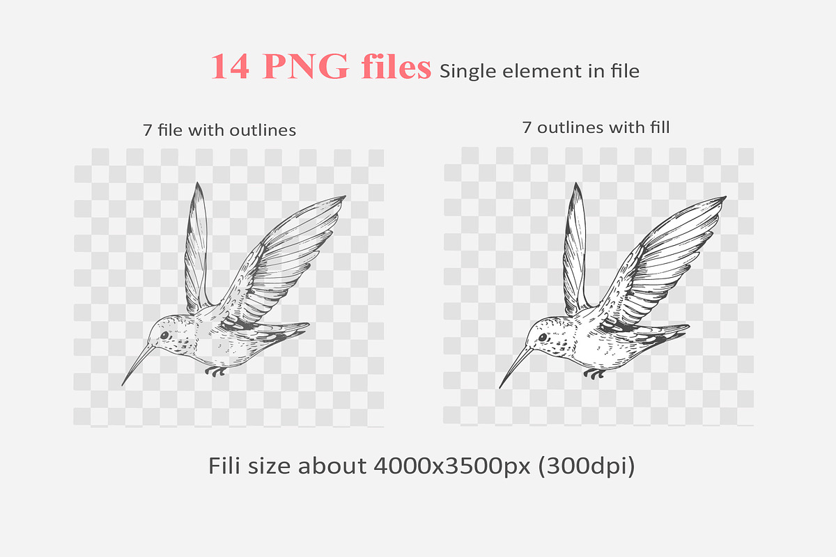 Hummingbird outline, a Decorative Illustration by Aksol (Photo 4 of 4)