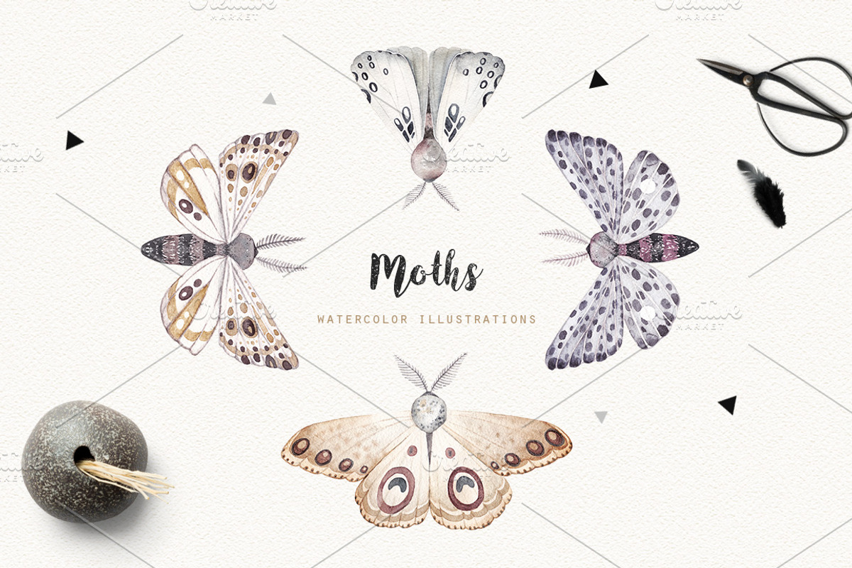 MOTHS and BIRDCAGE watercolor set, an Illustration by Natali Smolova (Photo 2 of 7)