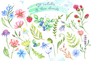 Meadow Blossom Watercolor, a Texture Illustration by artdreamer (Thumbnail 4 of 6)