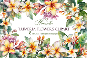 White plumeria flowers. Watercolor