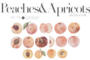 CRUISE - watercolor botany kit, a Texture Illustration by Kaleriia (Thumbnail 4 of 9)