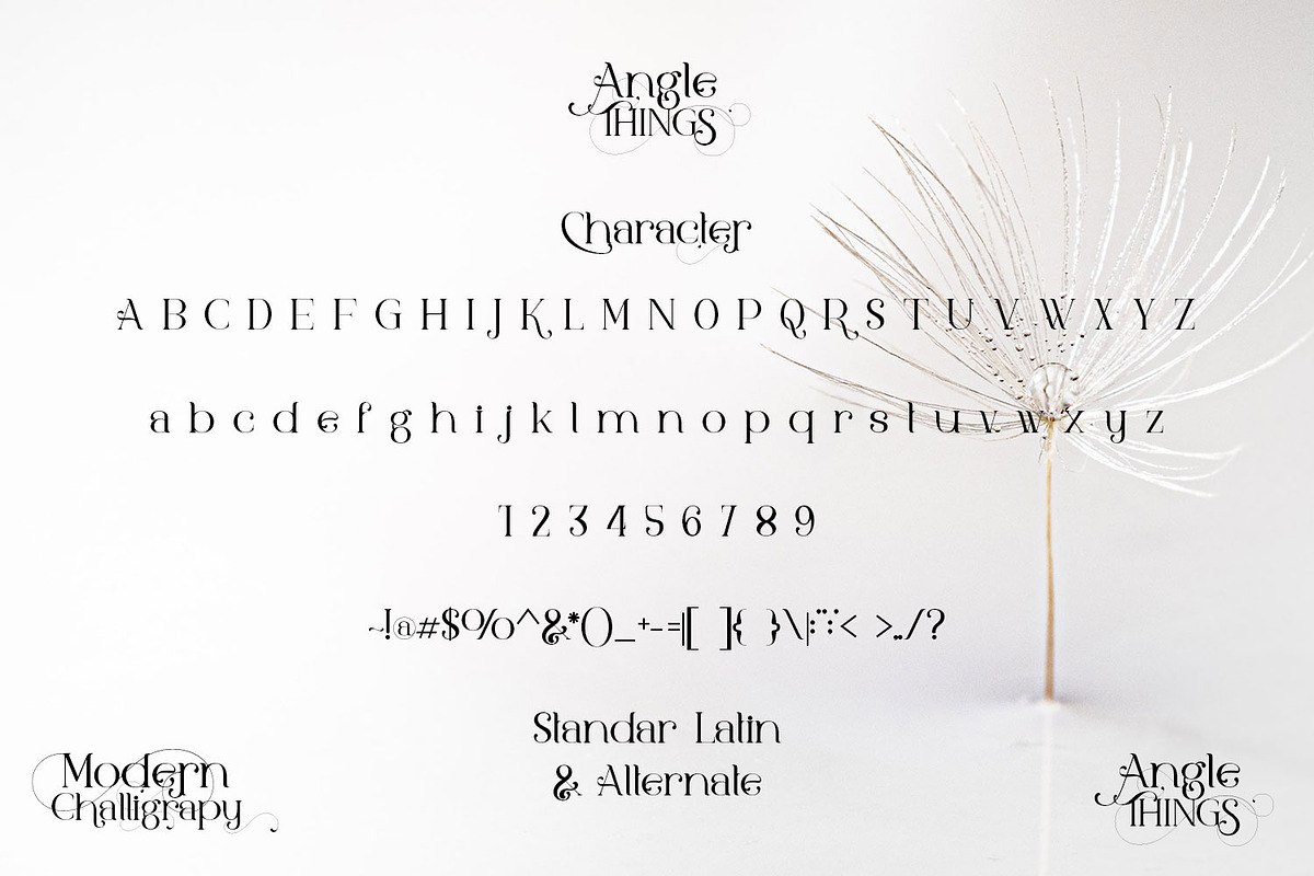Angle Things, a Serif Font by Bramcreative (Photo 2 of 10)