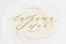 Authumn Sofia | Calligraphy Font
