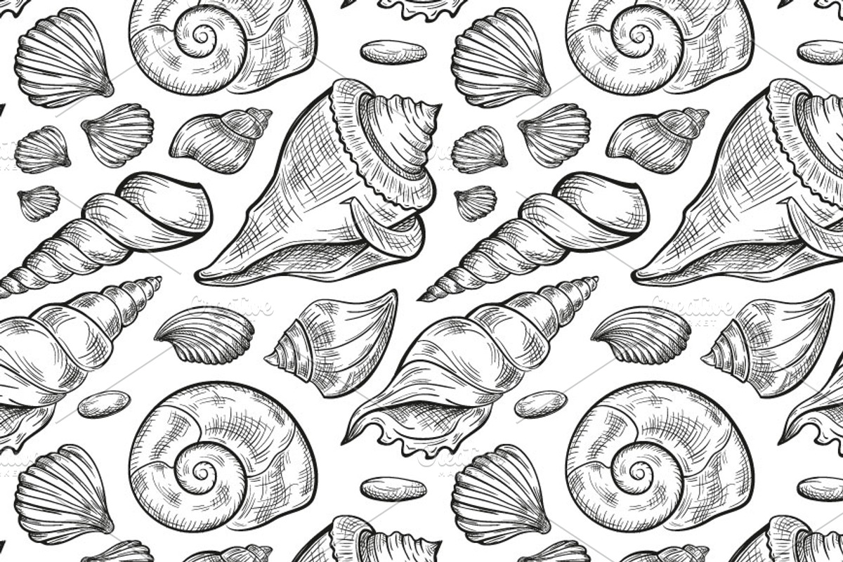 Seashells design elements set lite, an Illustration by Graphic Magic (Photo 2 of 2)