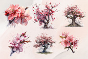 12 Watercolor Cherry Blossom Clipart, a Decorative Illustration by Jalina Clipart Studio (Thumbnail 2 of 9)