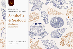 Seashells and seafood Illustrations