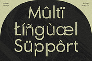 Golane Vintage, a Sans Serif Font by Craft Supply Co. (Thumbnail 2 of 8)
