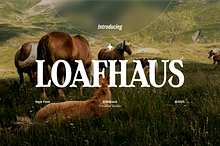 Loafhaus - Vintage Serif Display Fon