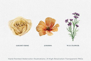 Boho Floral Watercolor Illustrations