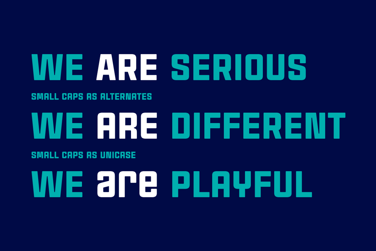Cintra Font Family preview 3
