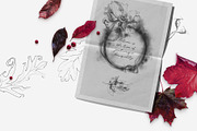 Folios. Botanical illustrations, an Object Illustration by Colden Blue (Thumbnail 2 of 13)